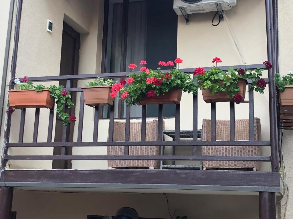 Tinikos Guest House Telavi Exteriér fotografie