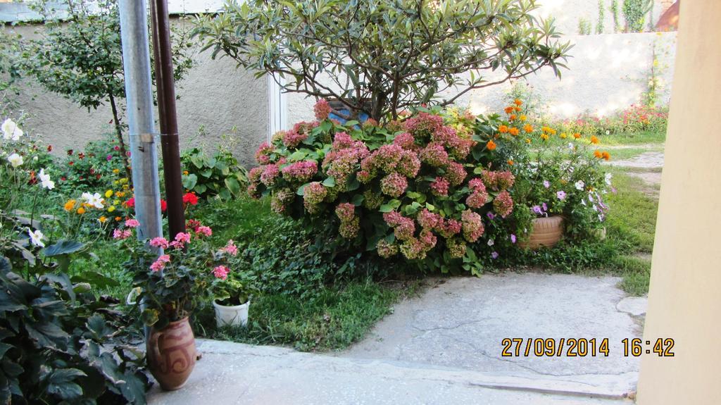 Tinikos Guest House Telavi Exteriér fotografie
