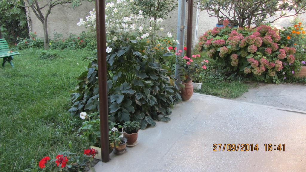 Tinikos Guest House Telavi Exteriér fotografie
