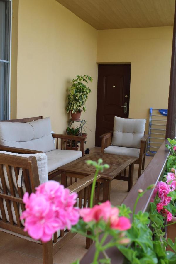 Tinikos Guest House Telavi Exteriér fotografie