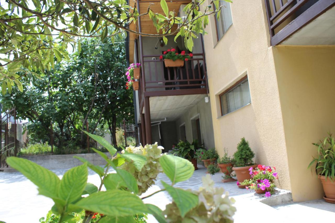 Tinikos Guest House Telavi Exteriér fotografie