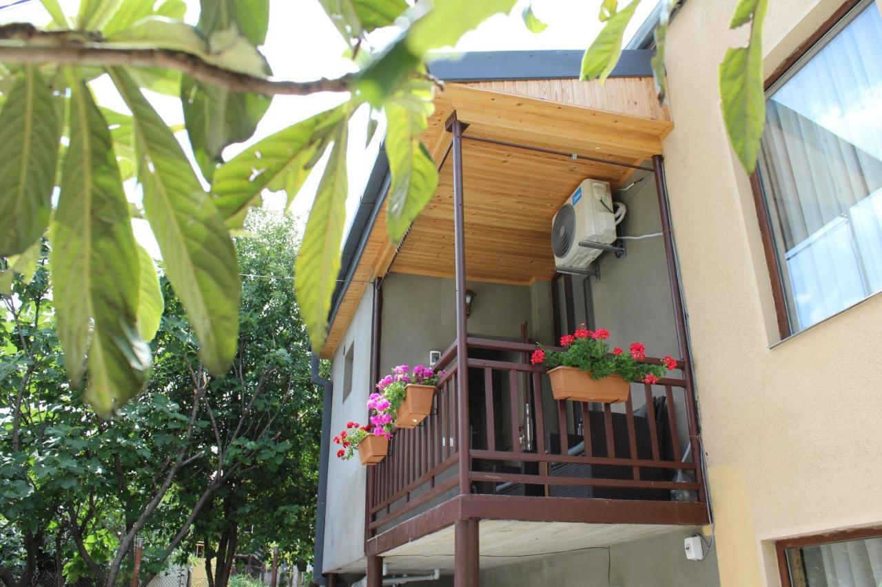 Tinikos Guest House Telavi Exteriér fotografie
